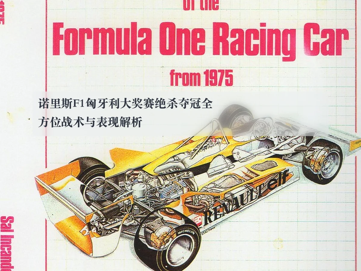 诺里斯F1匈牙利大奖赛绝杀夺冠全方位战术与表现解析