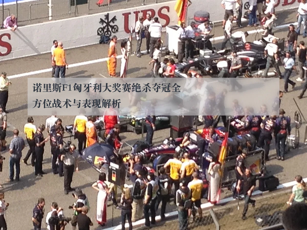 诺里斯F1匈牙利大奖赛绝杀夺冠全方位战术与表现解析